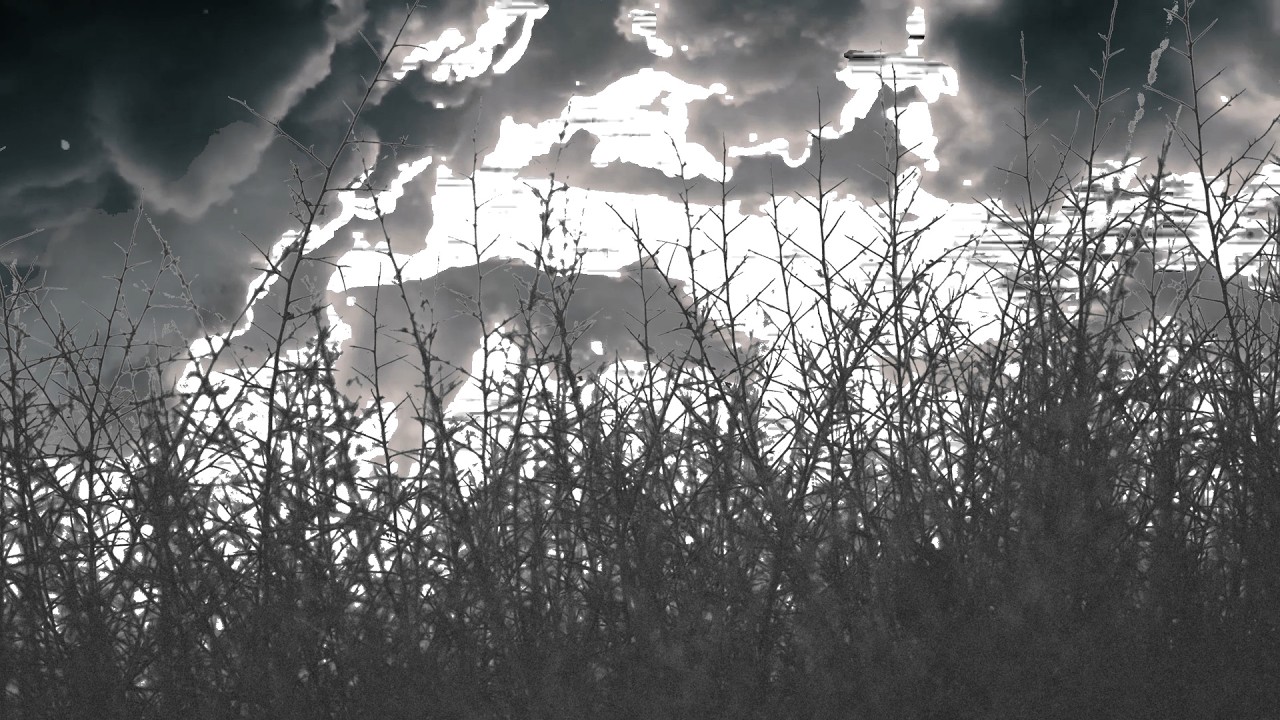 PERRY FRANK || Loudest Silence // SCENARIO Album [Shady Ridge Records]