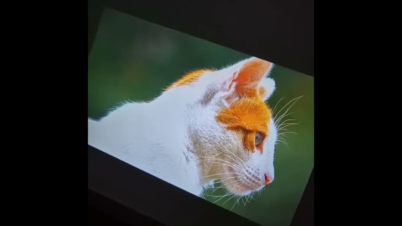 It's your time to relax and enjoy the Wanbo T2 Ultra projector 