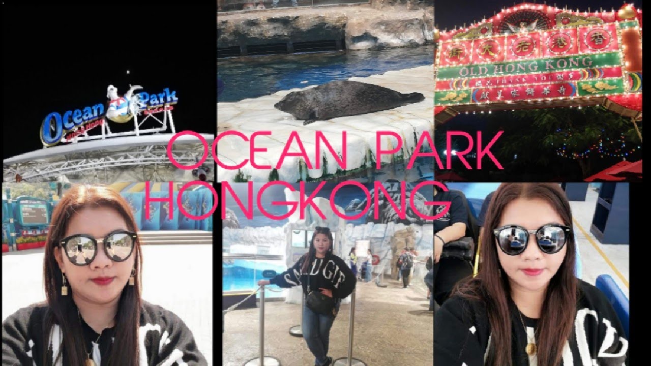WATCHING SEA LIONS FEEDING & SEA JELLIES/DANCING FOUNTAINS IN OCEAN PARK HONGKONG 