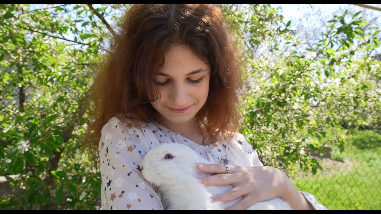 V&E Dzoni || ДОБРОТА - Софія Сердечна