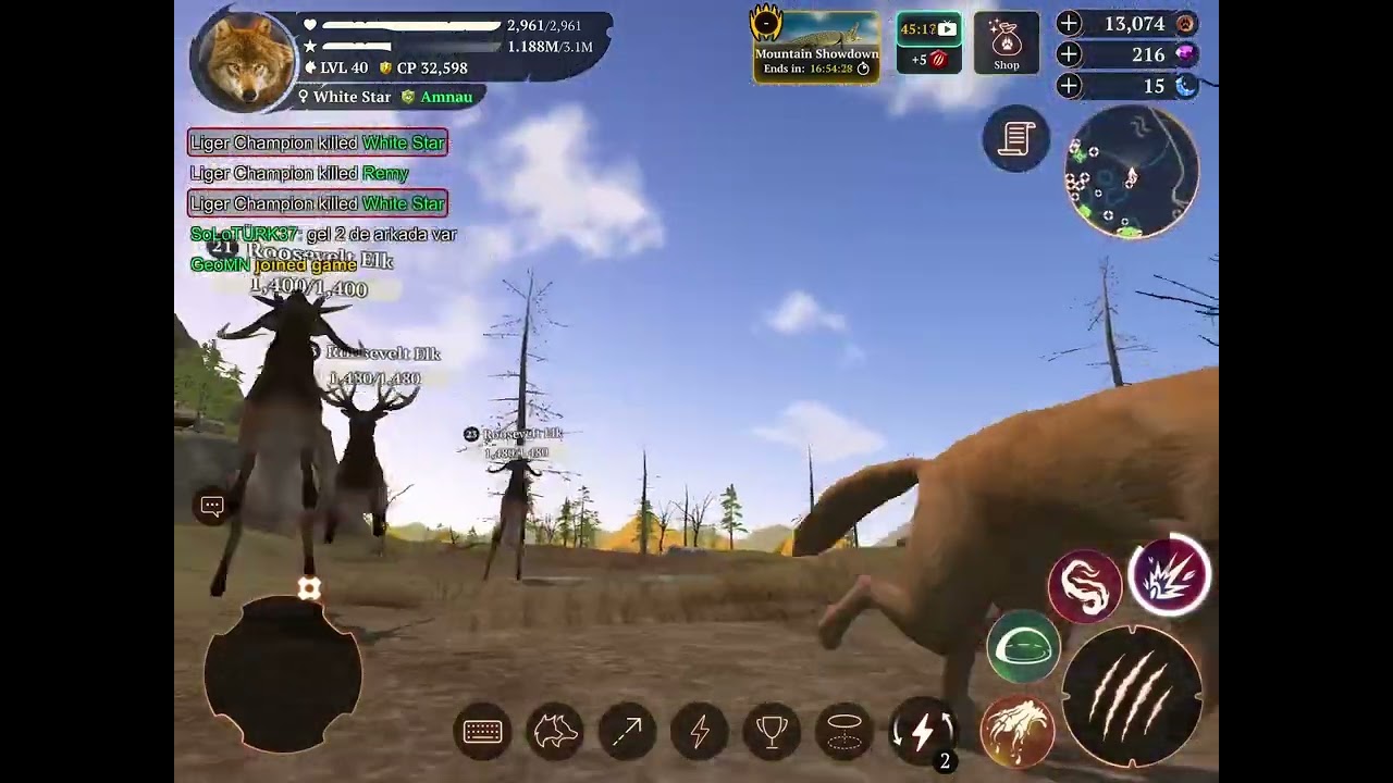 Liger Champion 🐯🦁 - The Wolf #liger #wolf #thewolfonlinesimulator