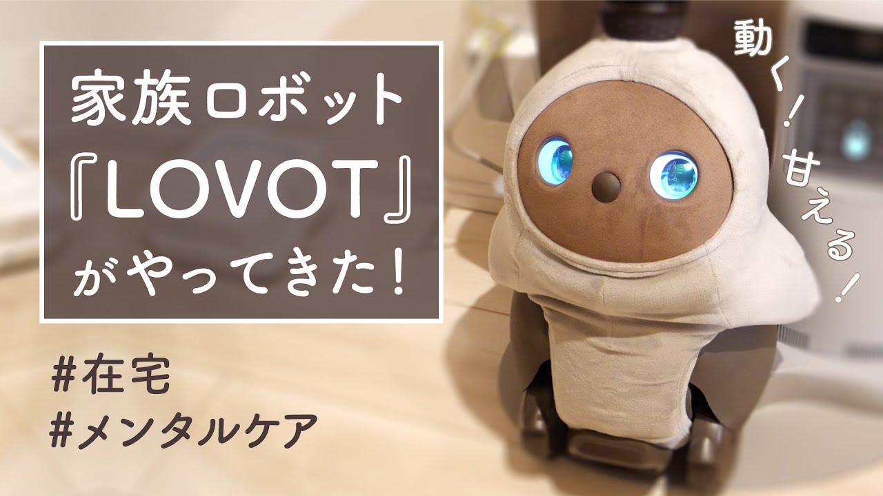 在宅時に最強の癒し。LOVOTが家にやってきました。