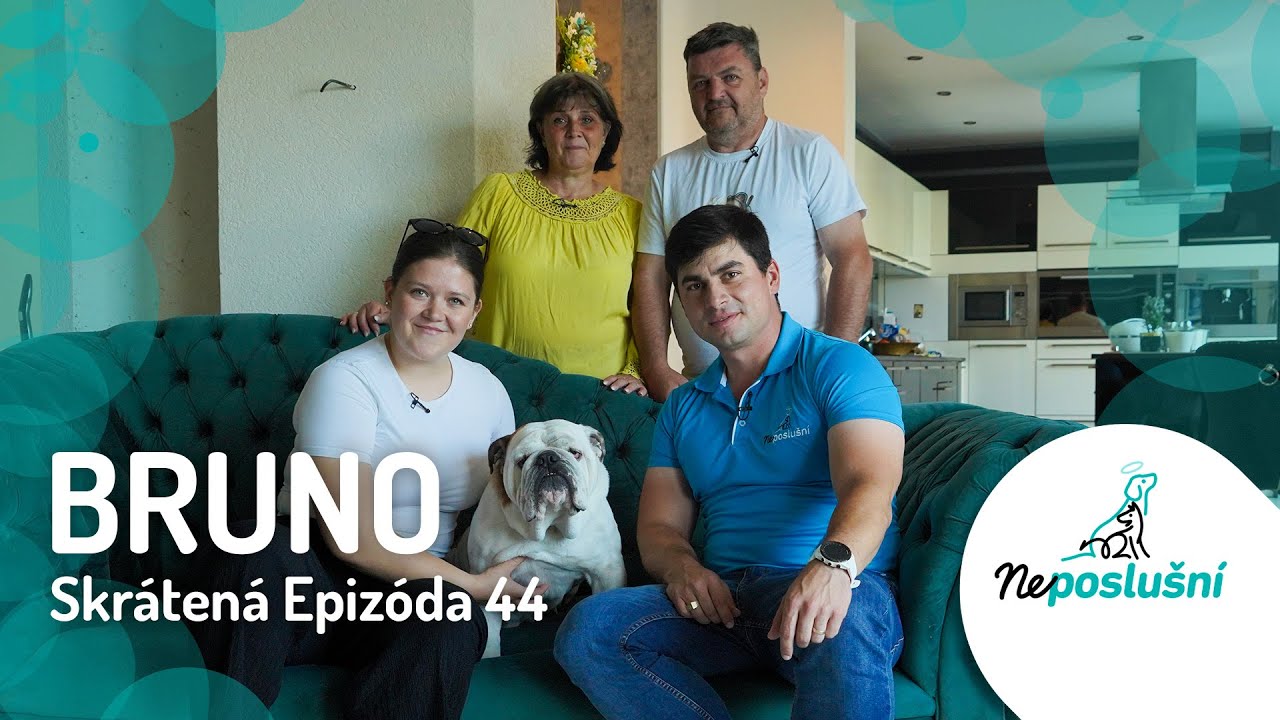 Extrémne Nebezpečný Buldog BRUNO (skrátené časti) | NEPOSLUŠNÍ