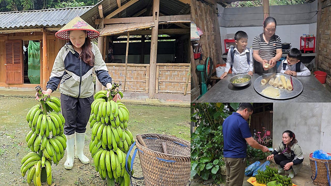 They harvested green bananas to sell, and bought meat to feed their children.DANG THI DU 