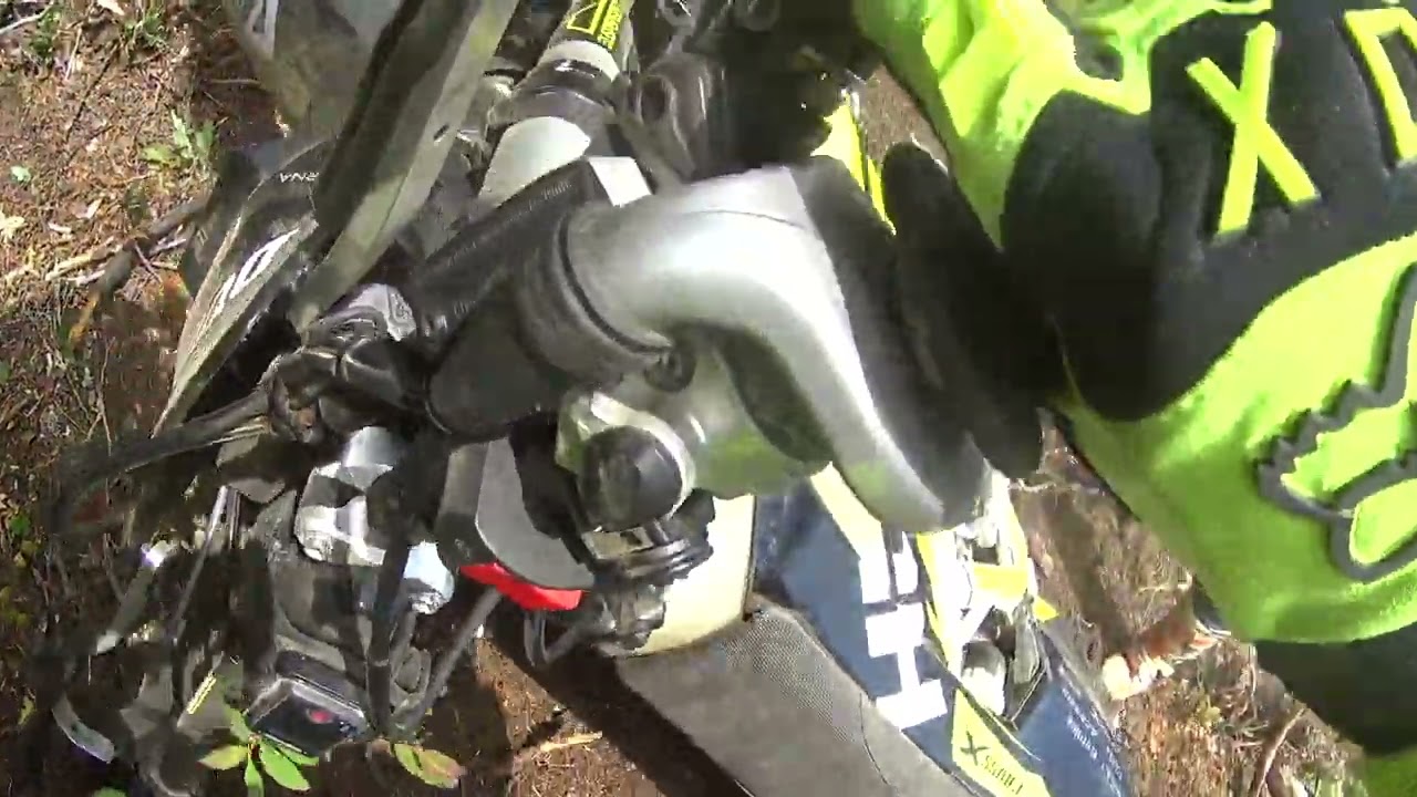 Awesome forest ride part 2