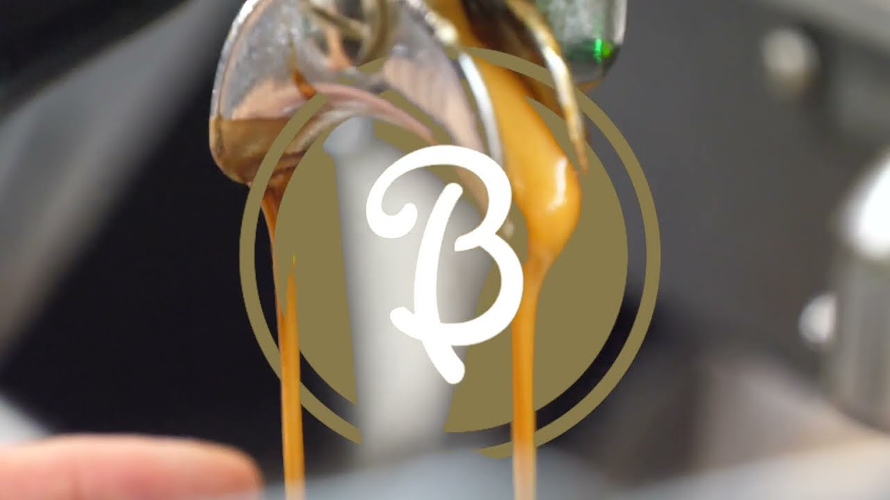 Bracegirdles Marion Fitout Final