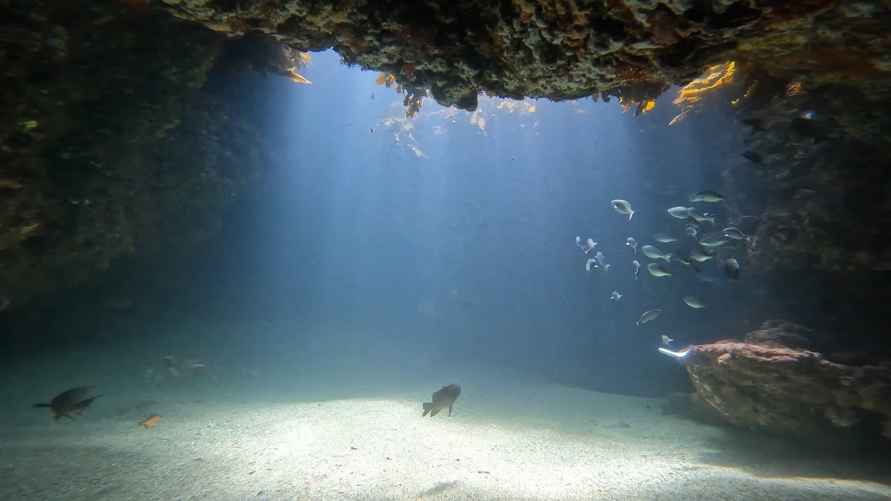 西澳潛水 Point Peron Beautiful Cave Diving