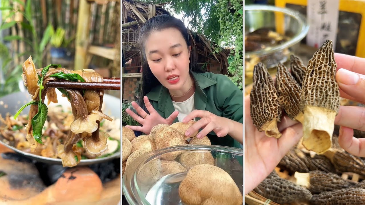 Review và chế biến đủ loại nấm siêu hiếm #catlai 