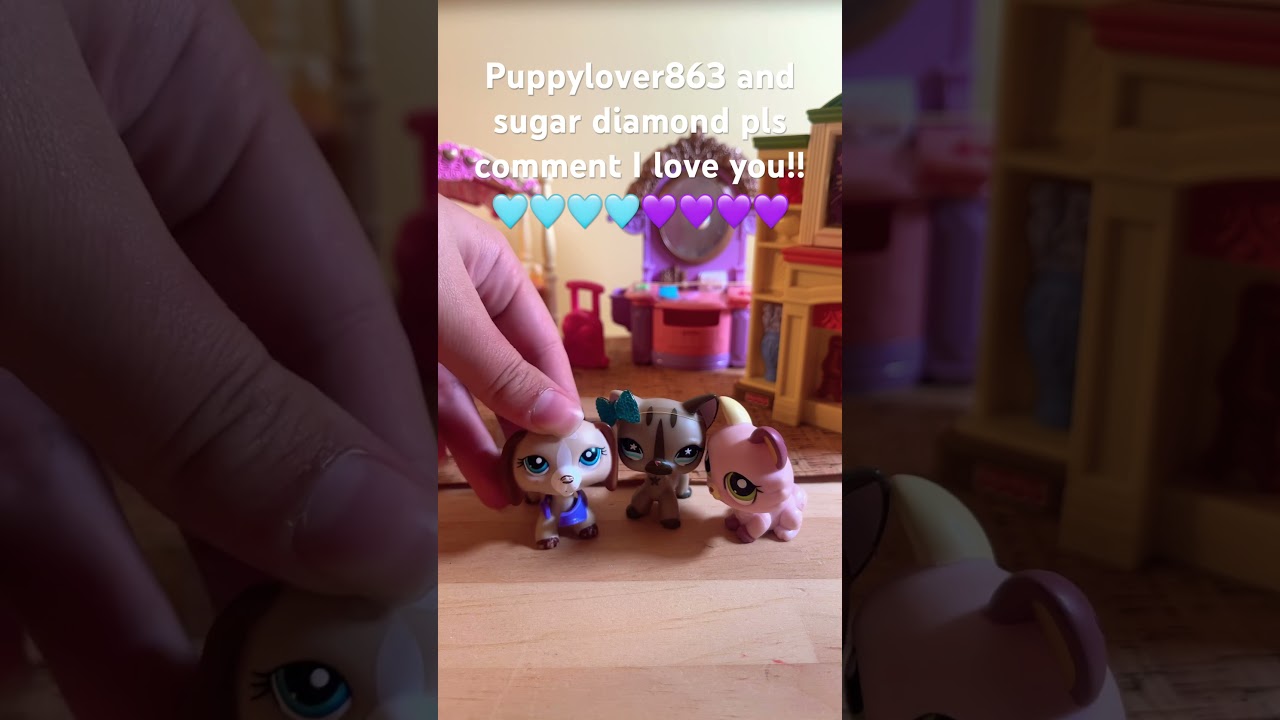 Puppylover863 and sugar diamond!!💜🩵 day 2