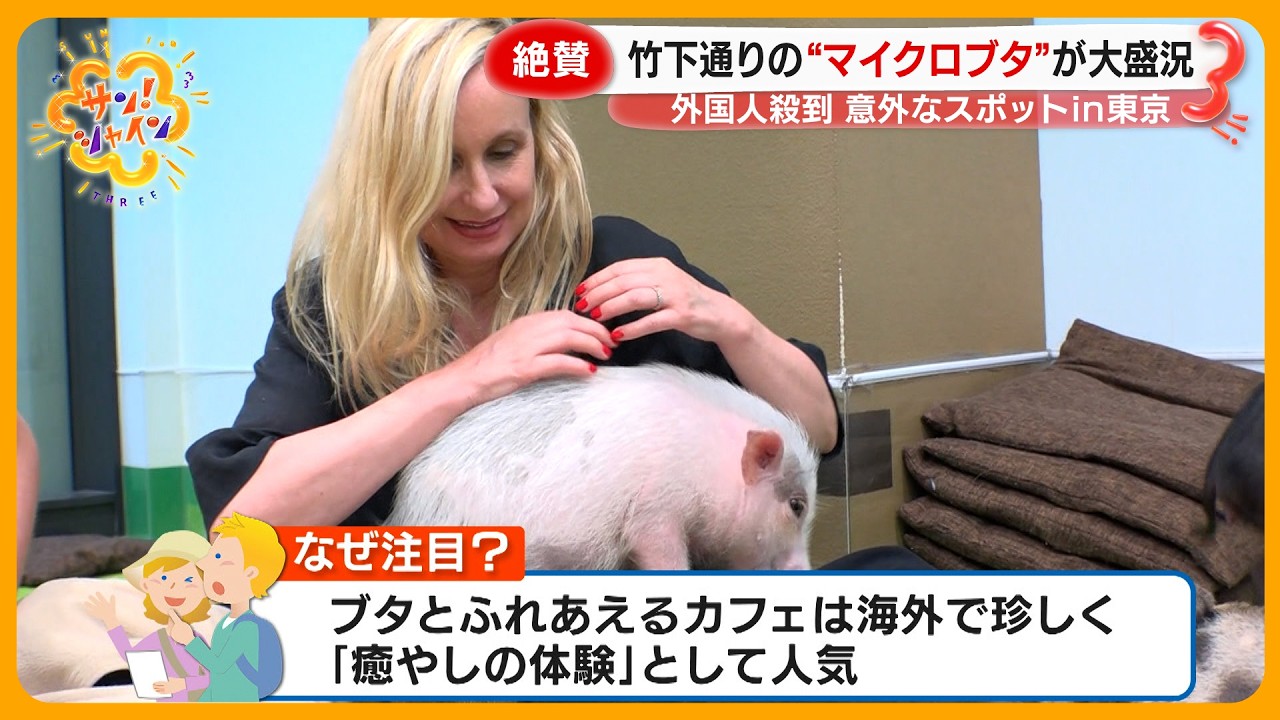 【絶賛】外国人観光客が殺到 東京の意外な人気スポットとは？伝統文化や様々な体験が人気に【サン！シャインニュース】