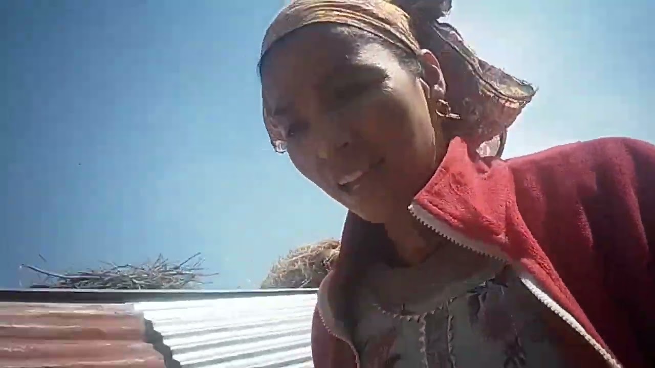 आज मयक ने खाई मेरी डाट मोहित भी लाया छेते 🌿