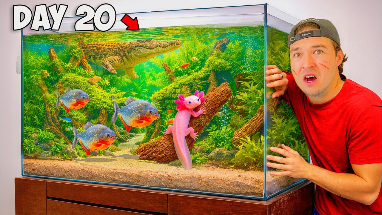 30 дней на создание крошечной экосистемы (с хищниками)