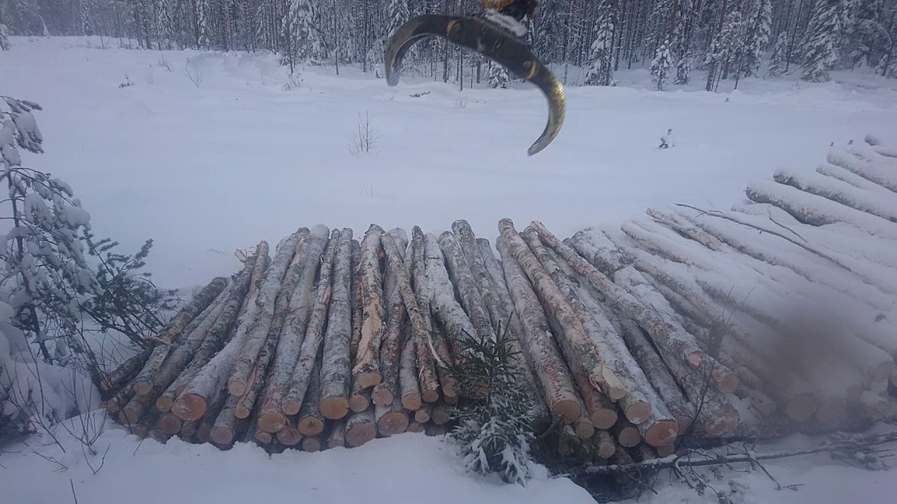 Ponsse Elk Unloading Birch Fibre (ja jottain puhetta koivukuidusta)