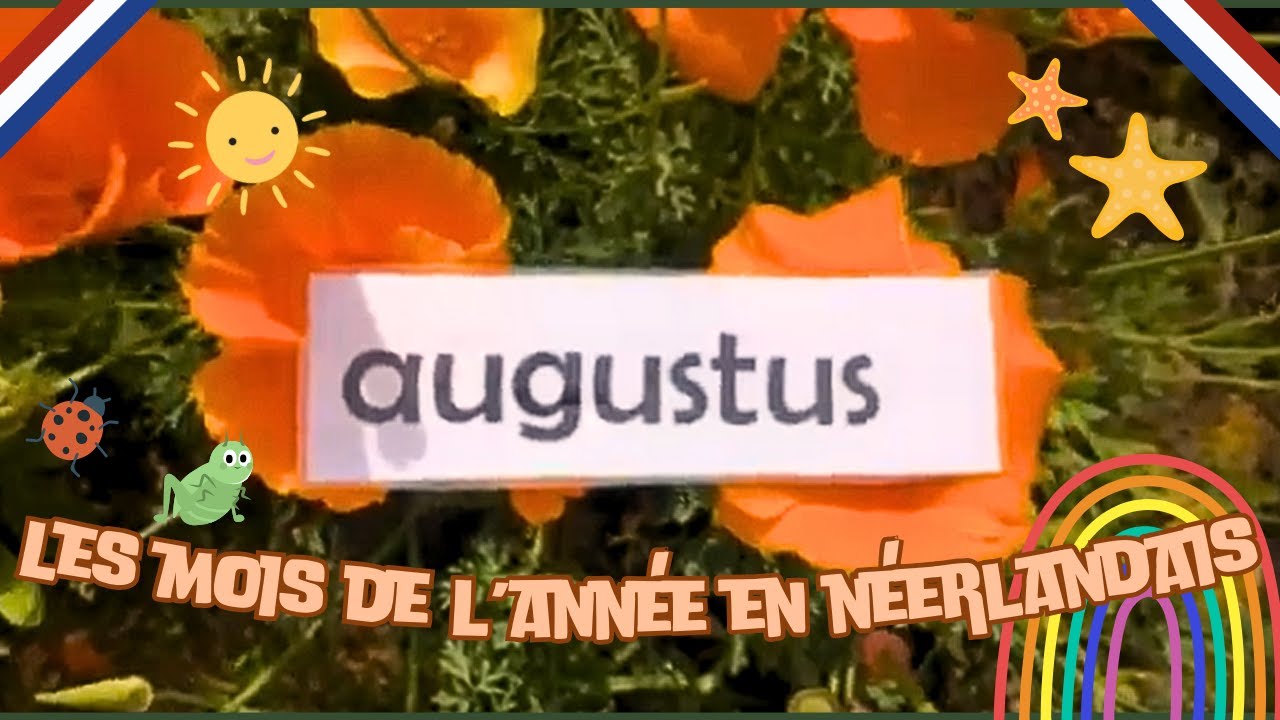 Les mois de l'année en néerlandais - pour les CE2