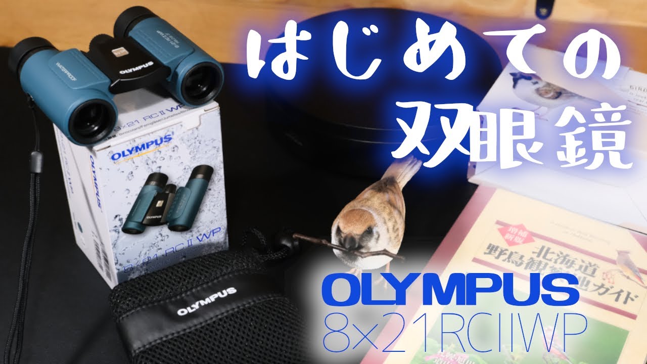 はじめての双眼鏡 オリンパスの8倍コンパクト双眼鏡 OLYMPUS 8×21RCⅡWP 来年はバードウオッチングに挑戦したい リアルなスズメのオブジェも併せてゲットした