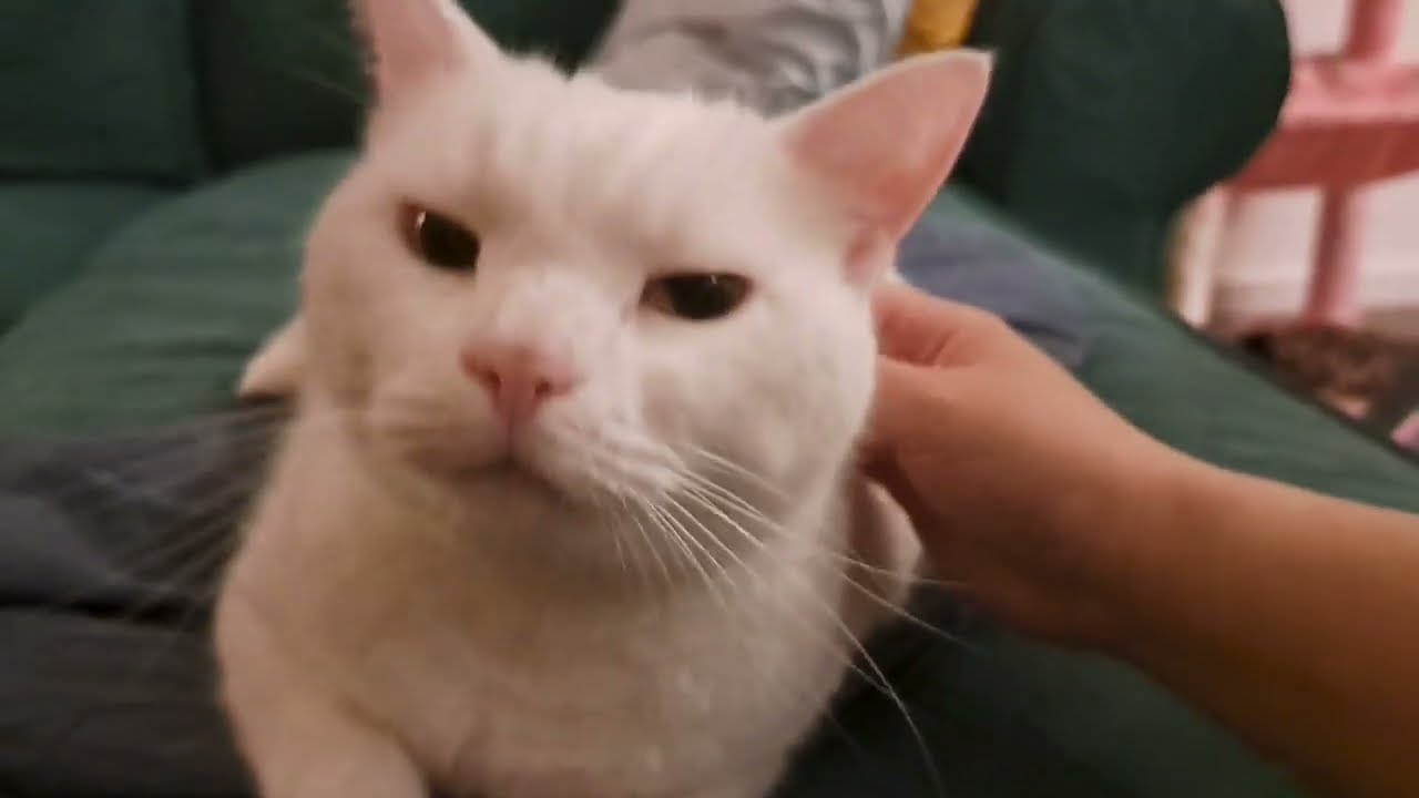 Keeping his vowels short 