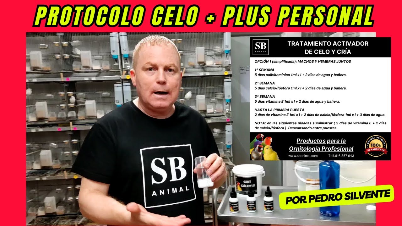 PROTOCOLO CELO + Plus Personal