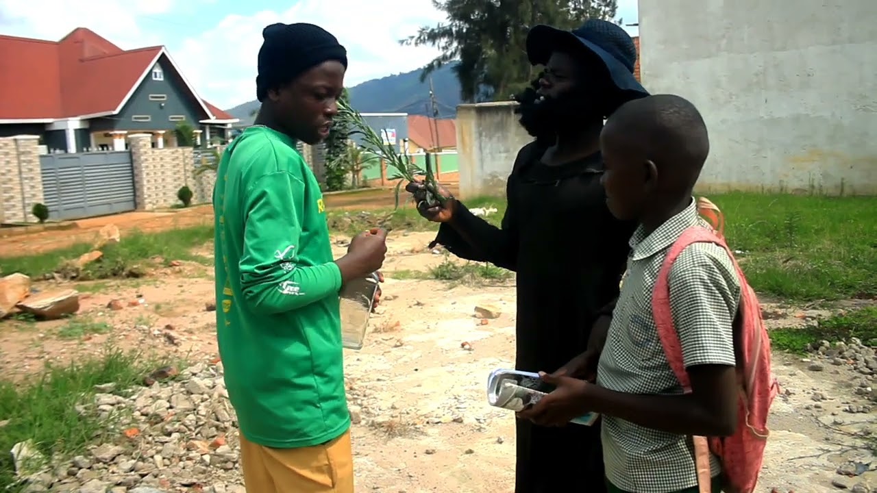 😬The advice of a fool and a poor man😆