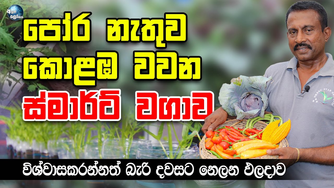 පෝර නැතුව කොළඹ වවන ස්මාර්ට් වගාව - How to cultivate in Colombo without much fertilizer