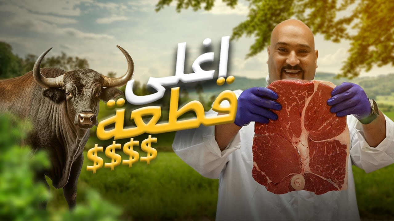 اسرار لا يعرفها العرب عن اللحوم - عجل الانغوس الحلال