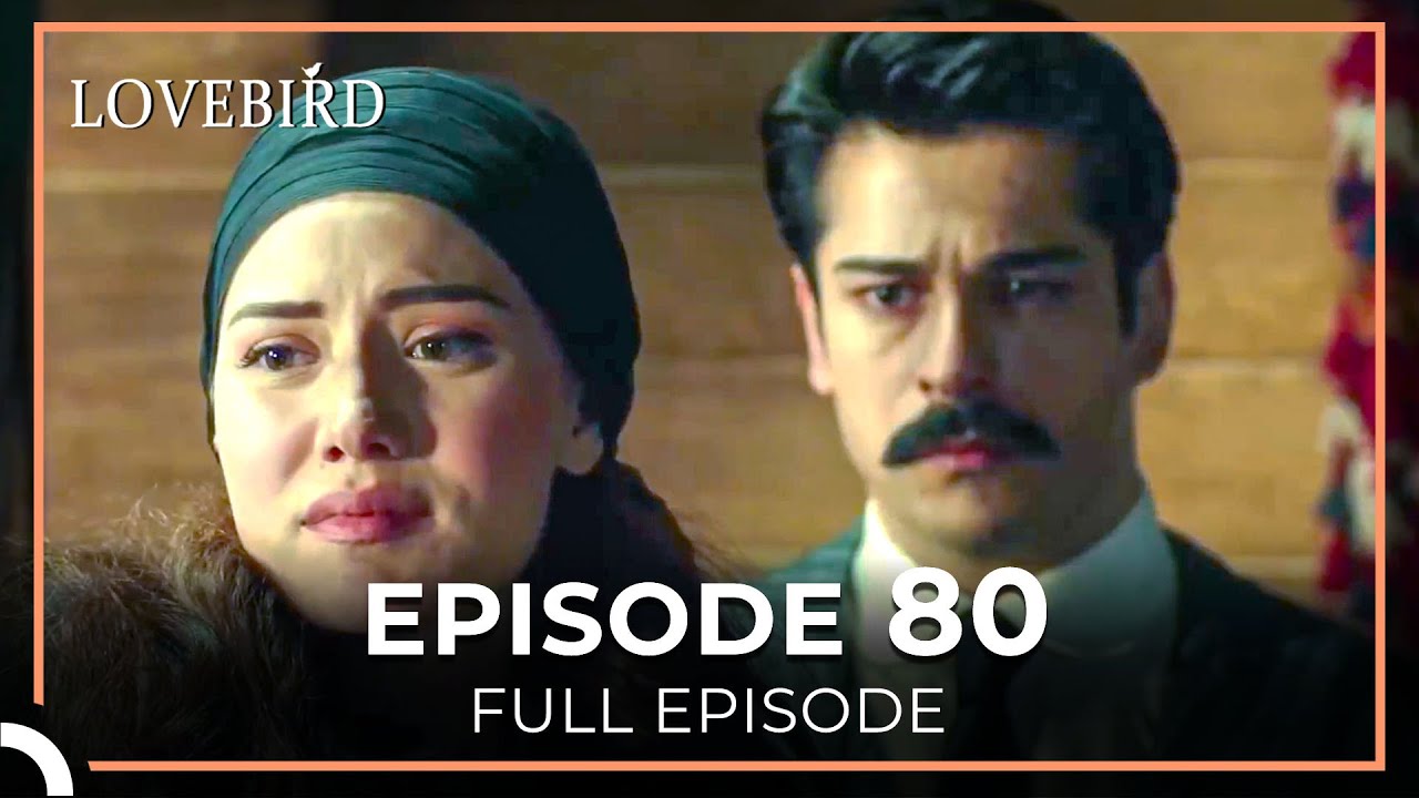 Lovebird Episode 80