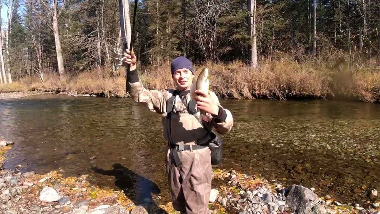 Много крупного хариуса. Рыбалка на хариуса и ленка. Хабаровский край. Октябрь 2021.