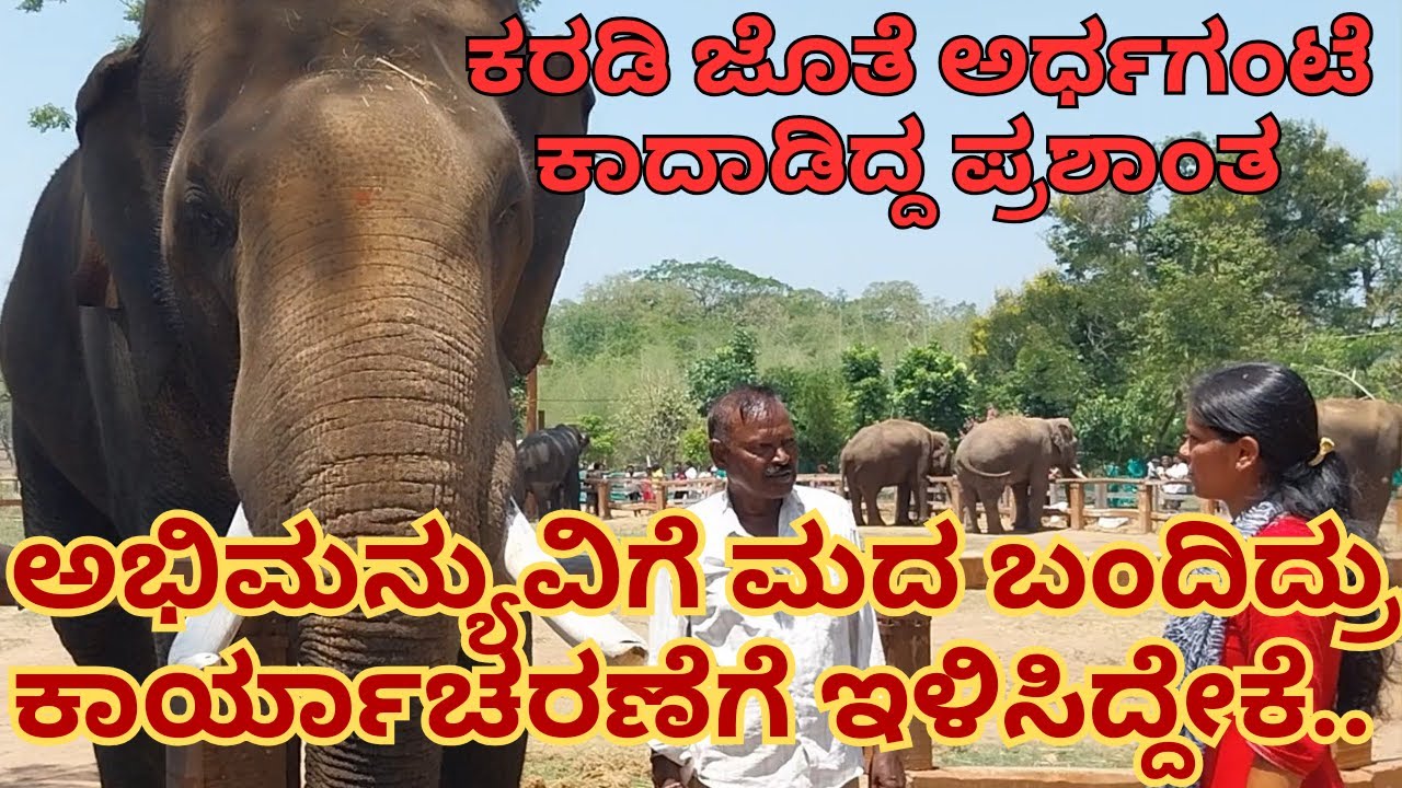 ನಾವು ಕಂಟ್ರೋಲ್​ ಮಾಡಿದ್ರು ಕರಡಿ ಹಿಡಿಯೋದಕ್ಕೆ ಮುನ್ನುಗ್ಗುತ್ತಿದ್ದ ಪ್ರಶಾಂತ |ಎಲ್ಲಾ ಕಾಡಾನೆಗಳ ಕಟ್ಟಿ ಎಳೆದಿದ್ದಾನೆ