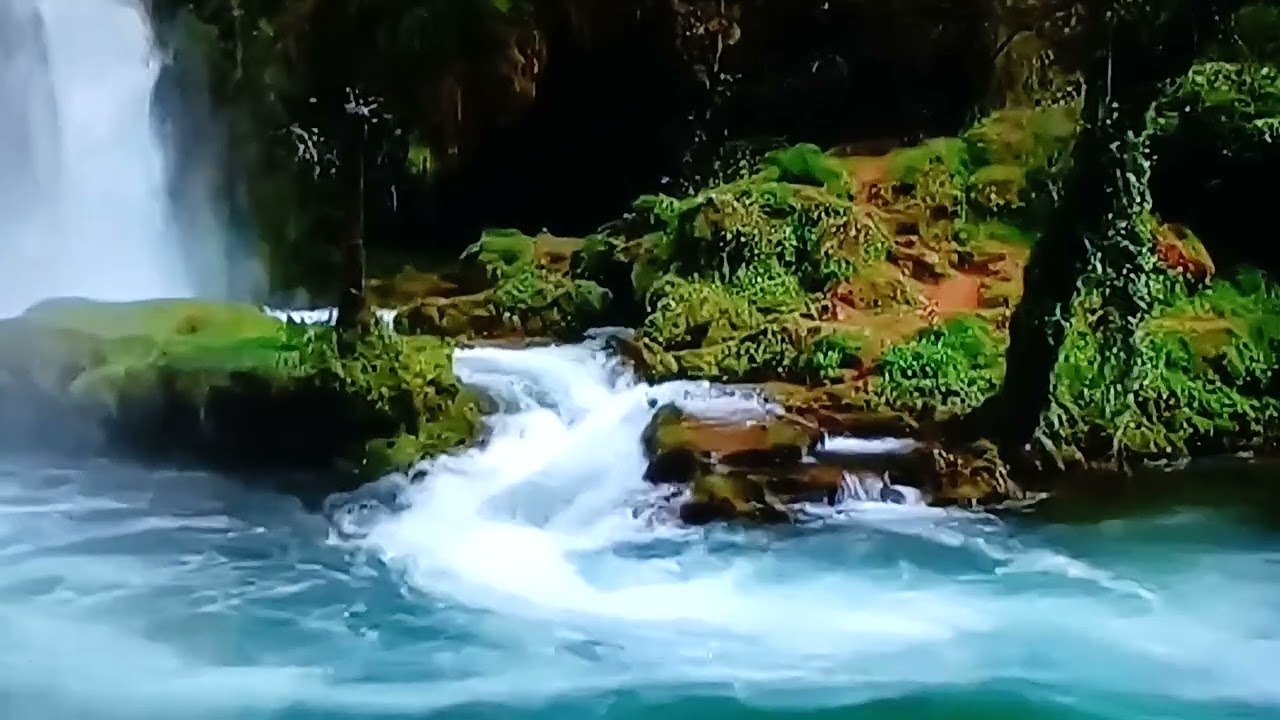 Méditation guidée pour apaiser la déprime 🏵🍀🧘‍♀️