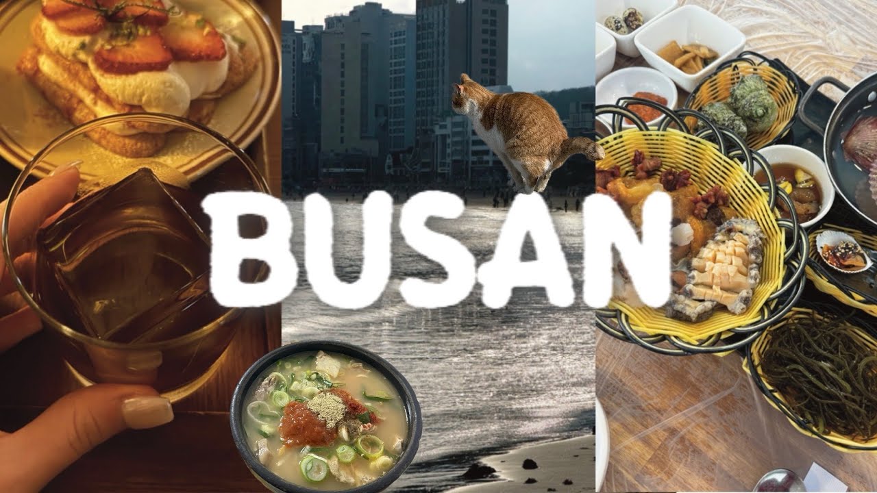 맛 없는건 못먹는 자매의 부산 2박 3일 여행 | 국제밀면•자매국밥•해풍•톤쇼우•융캉찌에 | 부산 디저트•카페