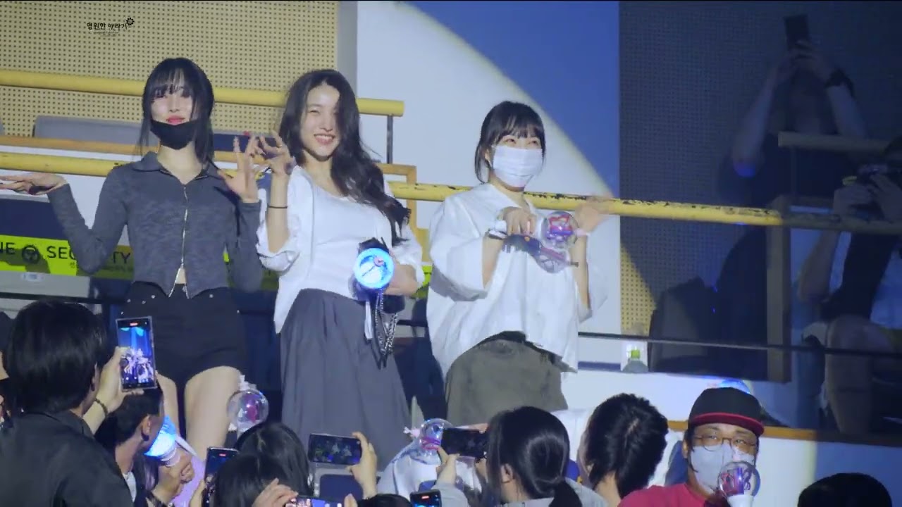 [4K 60P] 240601 비비지 2024 월드투어 V.hind : Love and Tears in SEOUL(첫콘) - 나비들과의 토크 타임 직캠(Fancam) 