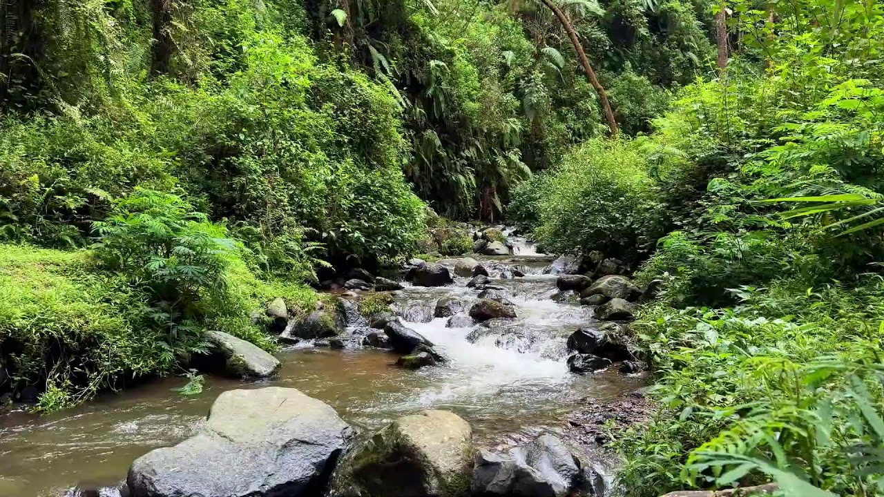 Soothing river sound under tranquil twilight skies helping peaceful deep sleep and relax tension