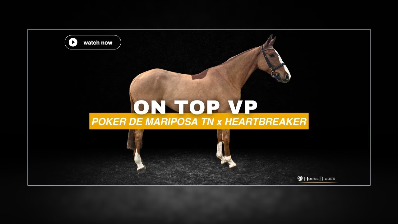 On Top VP - HorseBidder 27/02/2025