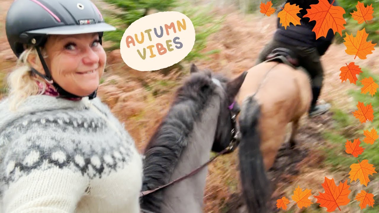 H&Auml;STVLOGG - VI RIDER UT TILLSAMMANS.