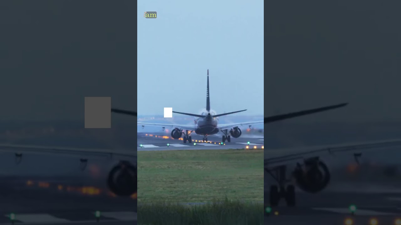 What happens if you overstay your Schengen Visa? 