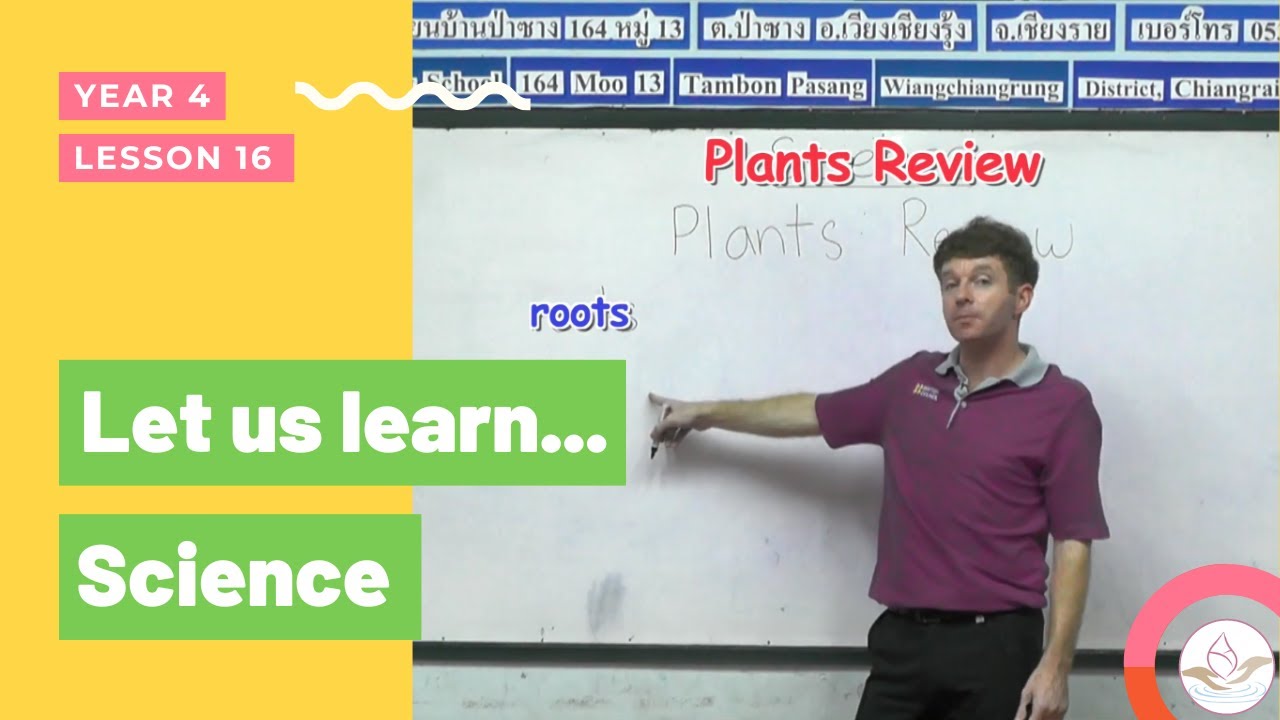 Y4 Lesson 16 | Learn Science for Children Year 4 | English-Programme Education Online Free