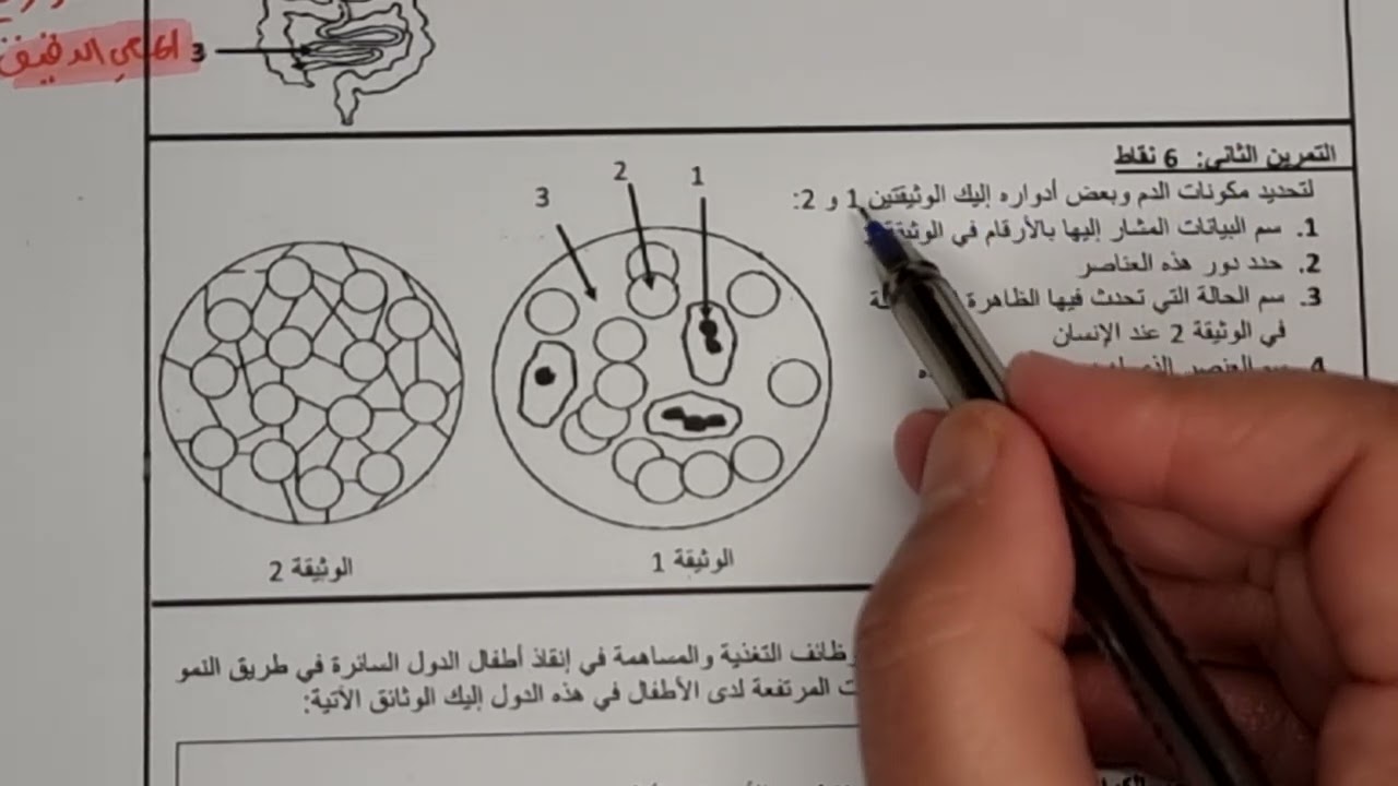 تميّز في العلوم س4م الحصة 5: نموذج اختبار مقترح الفصل الأول+ كتابة نص علمي