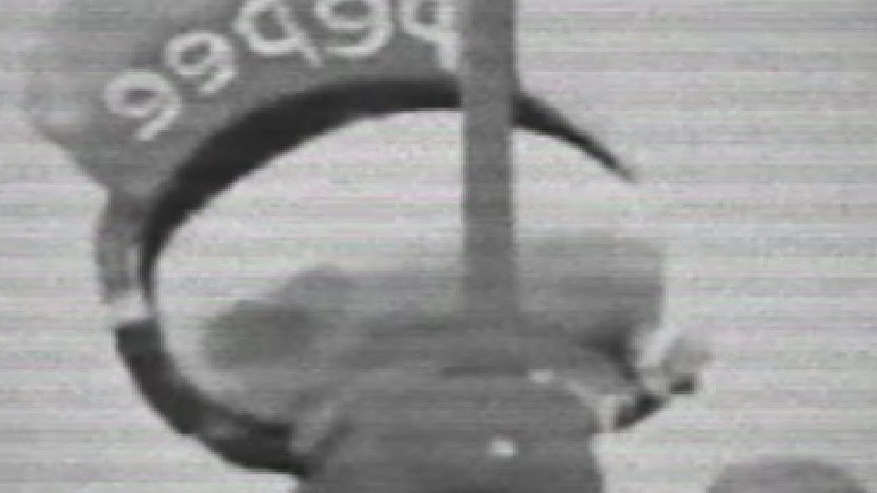 trt çocuk pepee yayın kuşağı