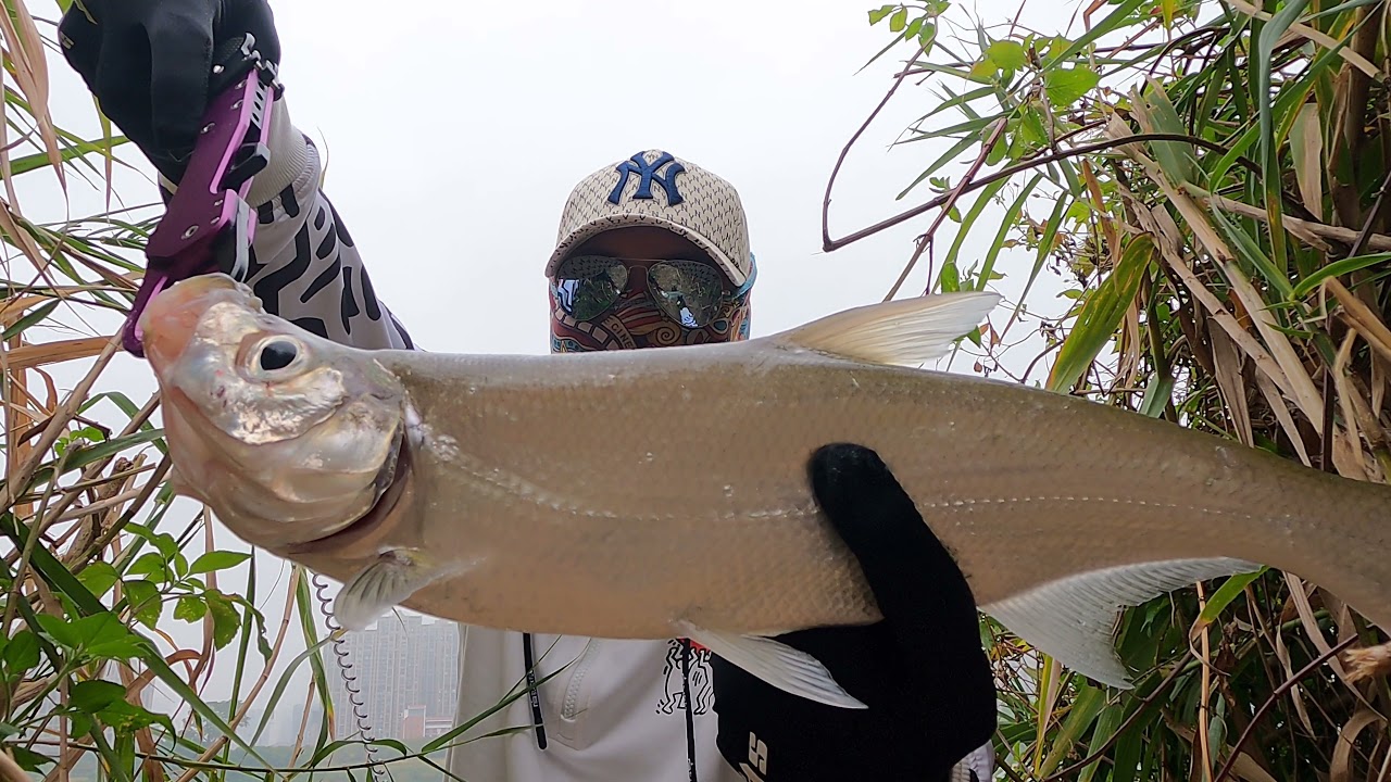 路亚翘嘴究竟用什么饵最好,简单高效操作用饵分享,一落水就狂口