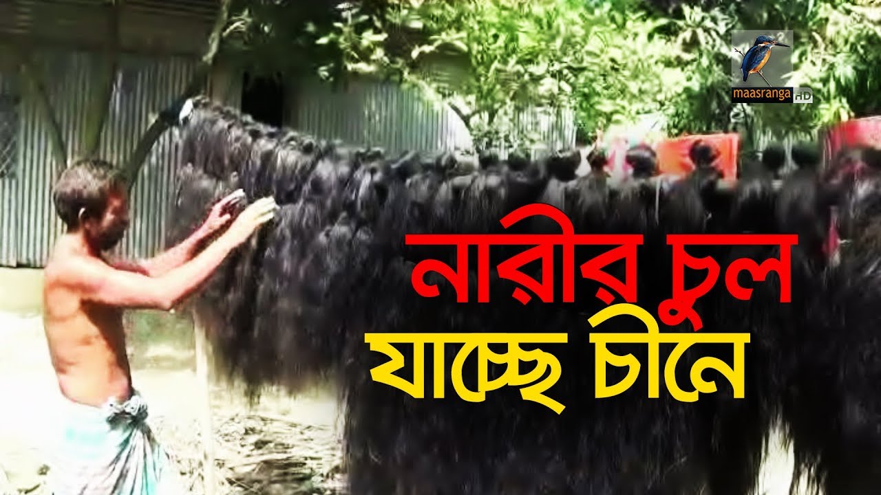 চুল যাচ্ছে চীনে