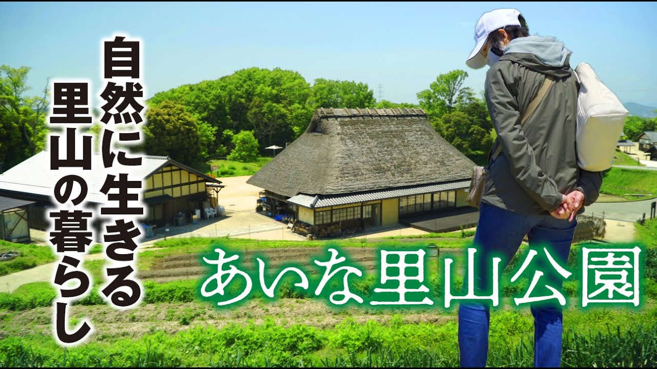 【お散歩風景】心癒せる新緑の「あいな里山公園」