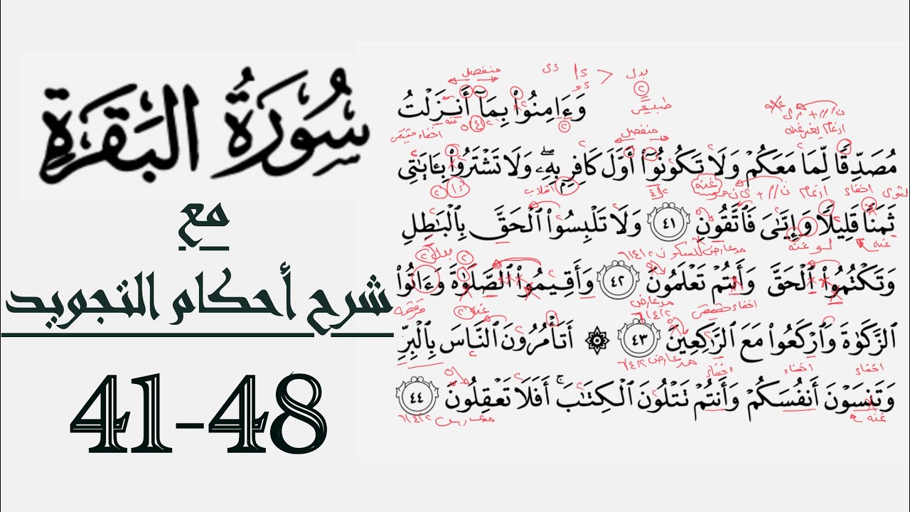 كيف تقرأ سورة البقرة مع شرح أحكام التجويد| ٤١-٤٨