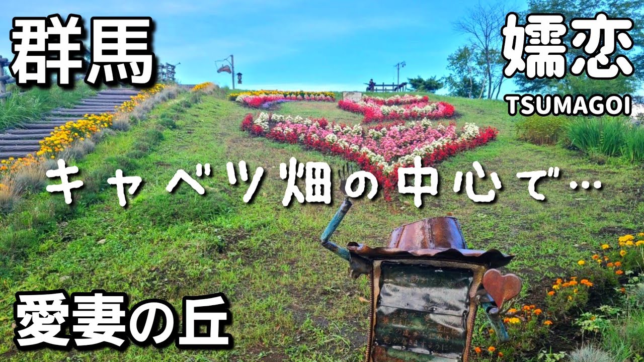 【群馬】愛妻の丘/キャベツ畑の中心で…