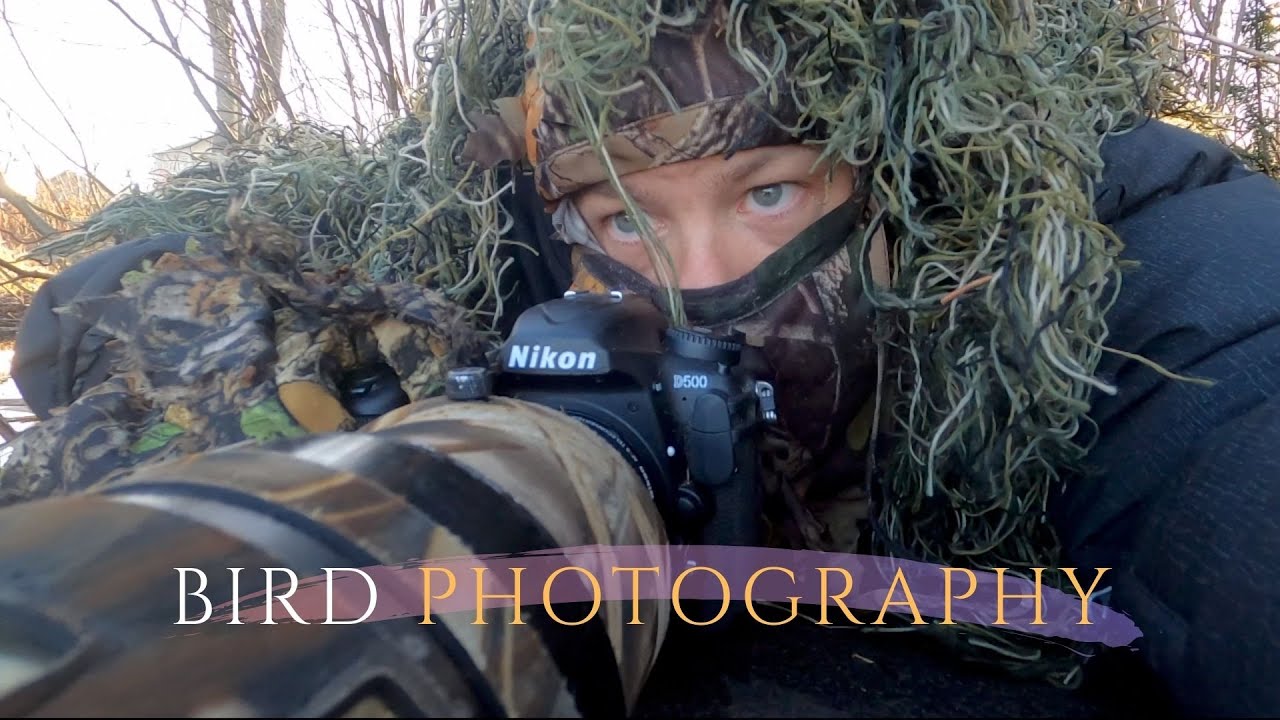BIRD PHOTOGRAPHY at sunrise || great crested grebe in courtship dance - camouflage.
