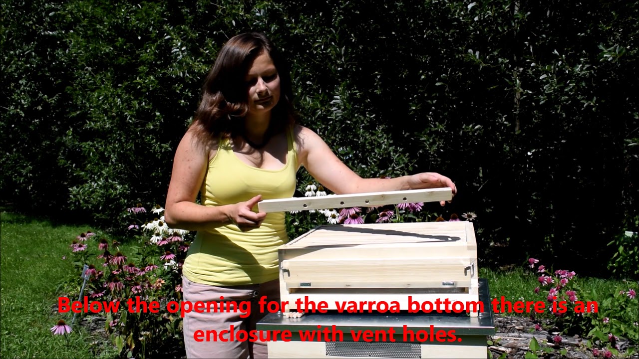 Bottom board of Thermosolar Hive