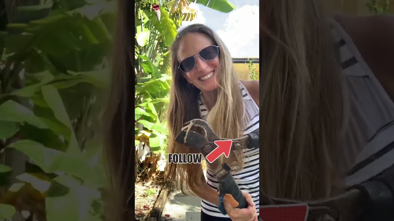 Hella Cougar: Dating Older Women Myths