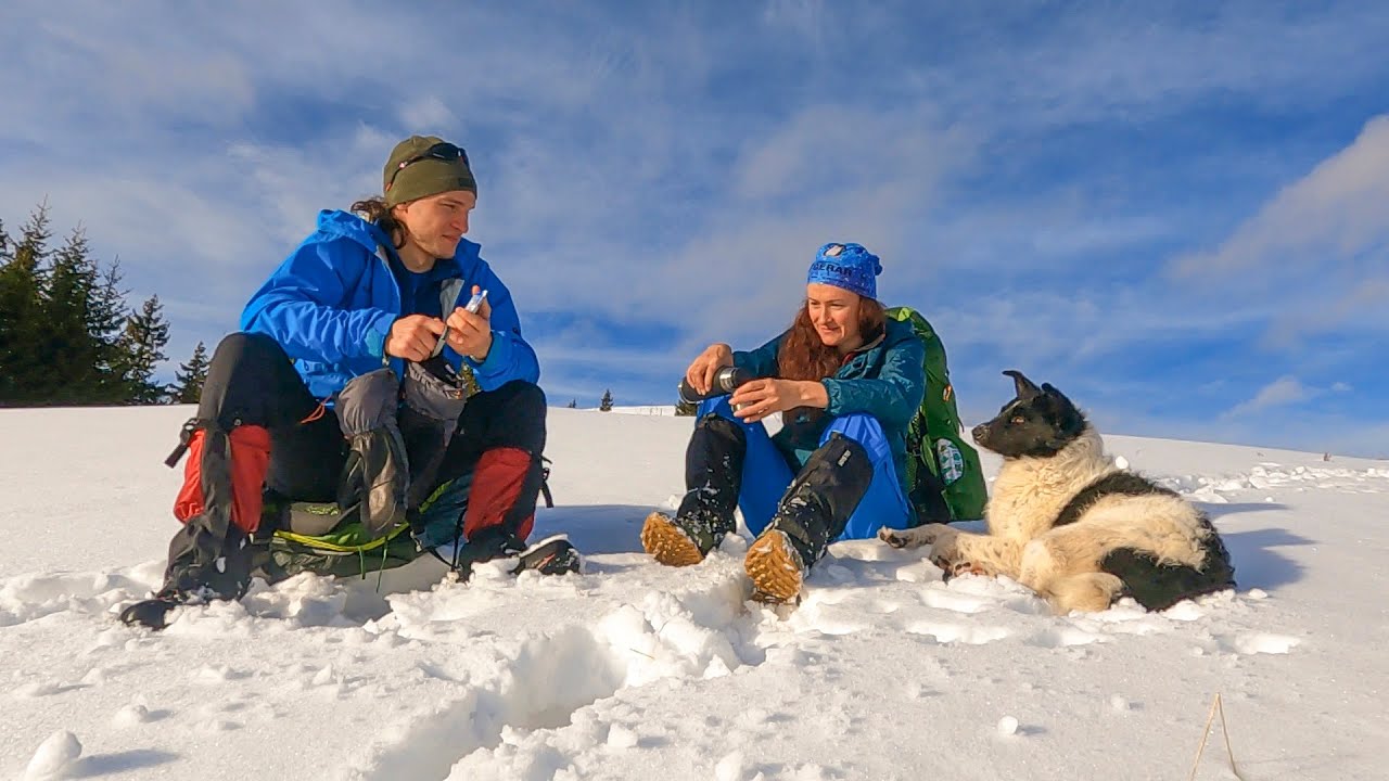 Craciun la stana in Muntii Bucegi. Un catel incapatanat a urcat, prin zapada mare, impreuna cu noi