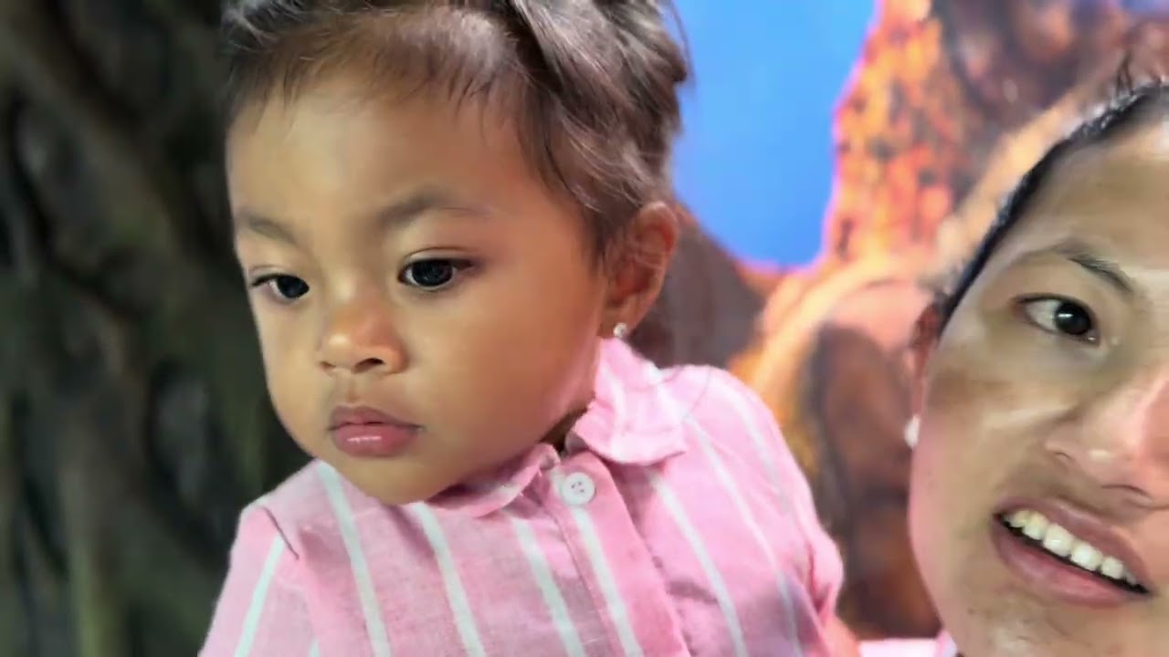 12.02.2026 | A Trip To Taronga Zoo | Sydney