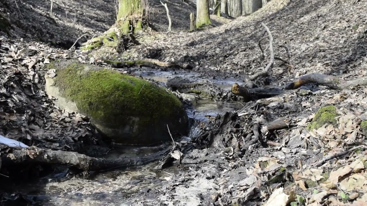 Relaksujący strumyk w lesie 4K  Mazury Poland Relax , sleep , meditate. Forest stream sounds  ASMR 