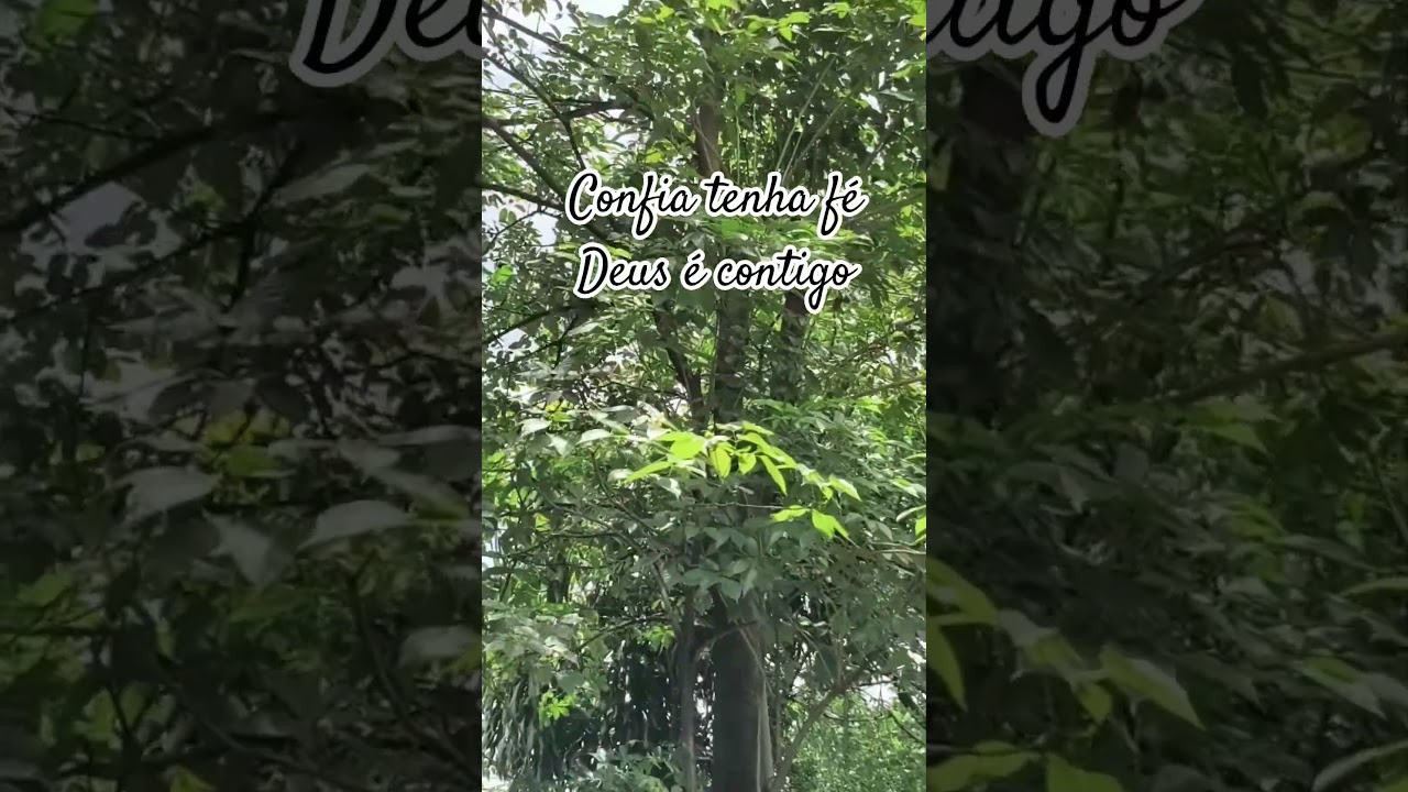 6 de janeiro de 2026