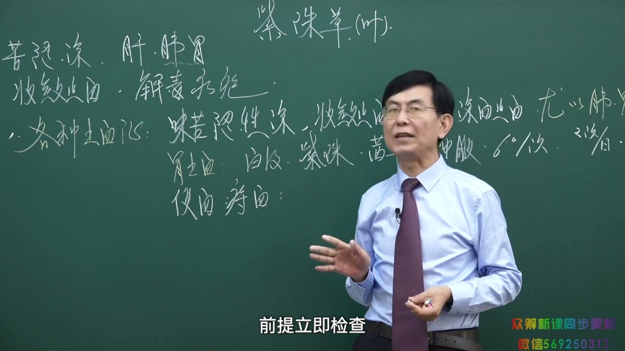 132 收敛止血药第3讲紫珠草